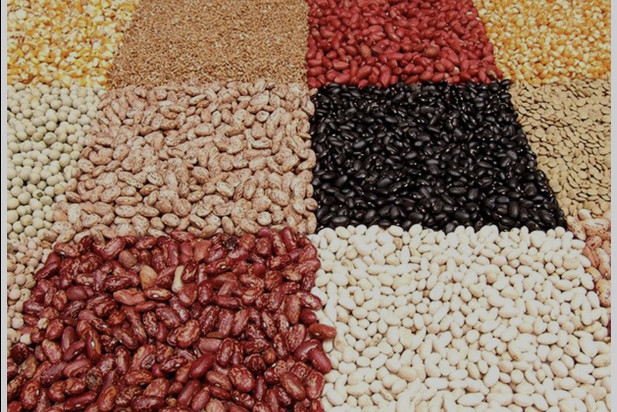 México mayor consumidor de, maíz, trigo, soya, arroz, cerdo, pollo y leche.